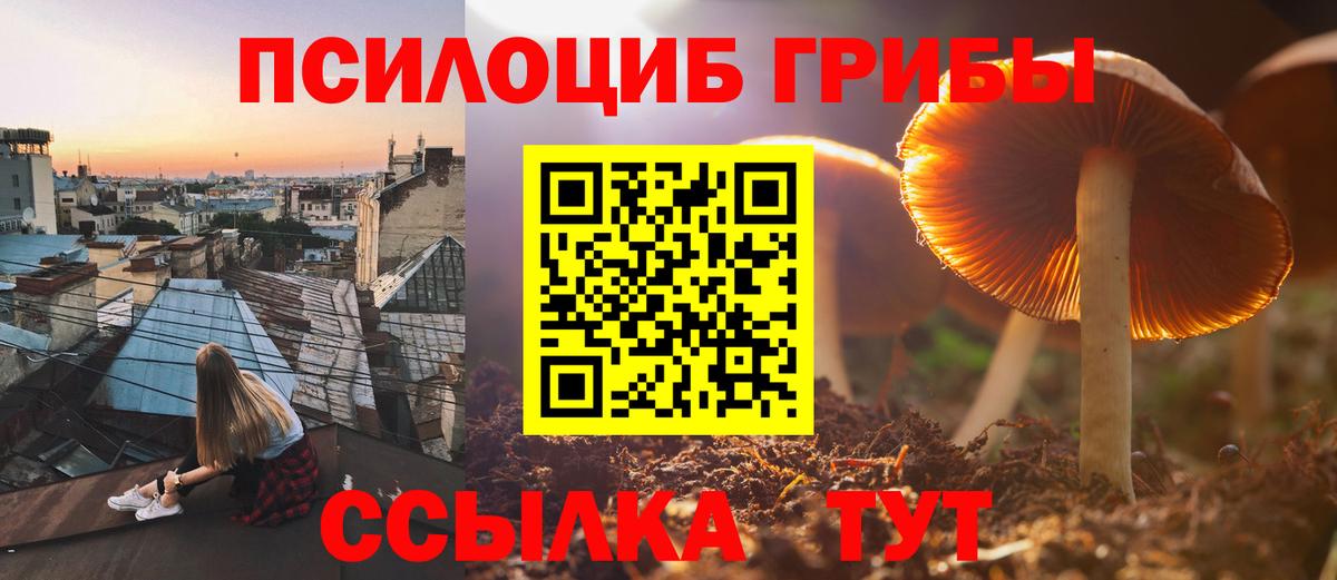 Псилоцибиновые грибы Psilocybine cubensis Иваново